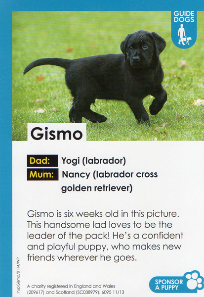 Gismo2